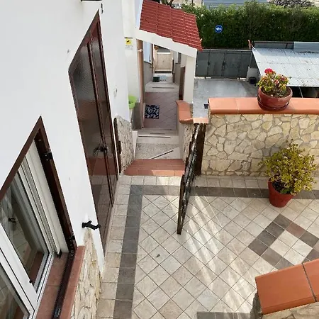 Vignola 2